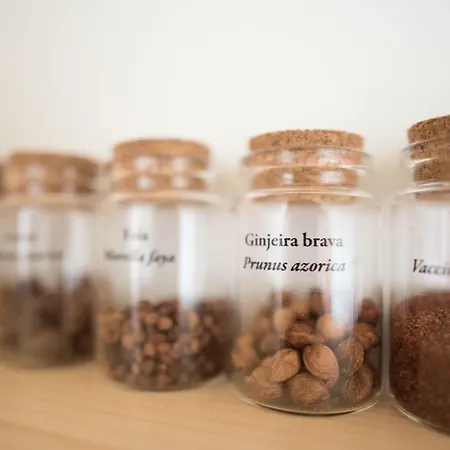 Casa Do Cedro Do Mato Bauernhof