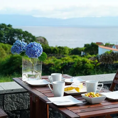 Casa Do Cedro Do Mato * Terra Alta