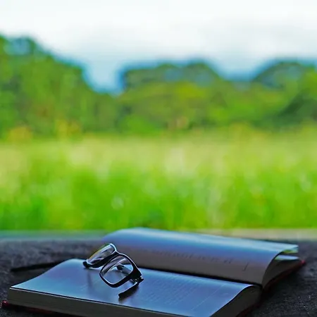 Casa Do Cedro Do Mato *