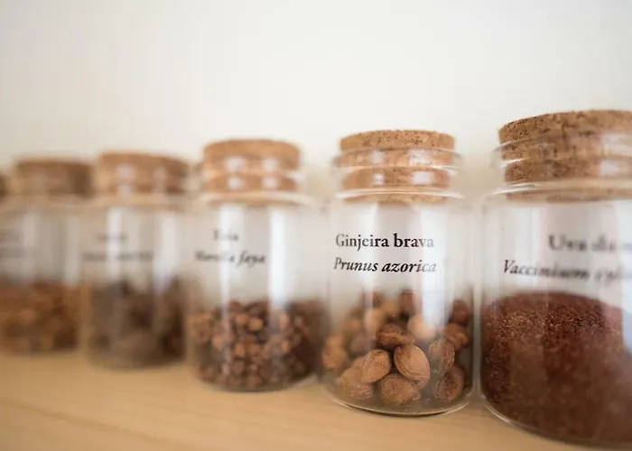 Casa Do Cedro Do Mato Agroturismo